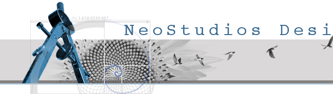 Bellinhgam Web Design Neostudios Desing LLC